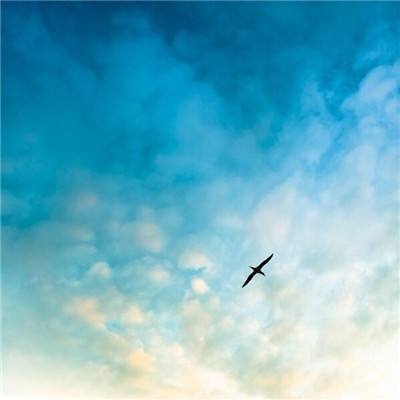 海空战争手游