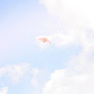 王道与霸业官方手游下载